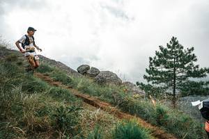 BIB: 
                            <button type="button" onclick="openModal(26019035)" class="btn btn-primary btn-sm float-right btn-popup" data-toggle="modal" data-target=".modal-high-quality">
                        <i class="fas fa-shopping-cart"></i> Add to Cart
                    </button>
                                            <button type="button" onclick="isThisMe(26019035, true)" class="btn btn-success btn-sm float-right btn-popup btn-isme hidden" data-toggle="tooltip" data-placement="bottom" title="นี่คือรูปของคุณใช่ไหม คลิกที่นี่เพื่อเอาเข้าอัลบั้ม">
                        <i class="fas fa-plus"></i> Add to album
                    </button>
                    <button type="button" onclick="isThisMe(26019035, false)" class="btn btn-warning btn-sm float-right btn-popup btn-isnotme hidden">
                        <i class="fas fa-ban"></i> Remove from album
                    </button>